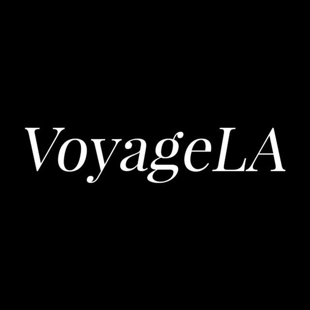 David LaRosa’s Story on Voyage LA